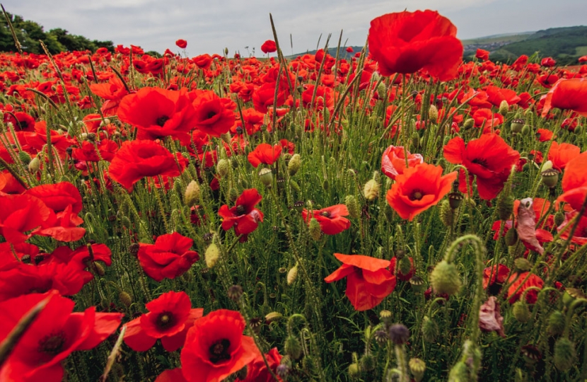 Conservative councillors represented their communities at remembrance services across South Lanarkshire