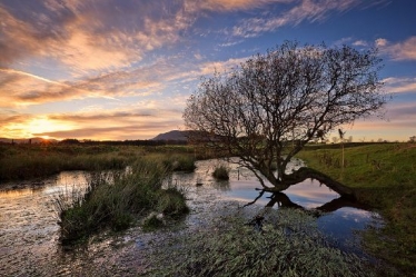 PIC: Simon Butterworth. Conservative councillors helped reject Clydesdale quarry